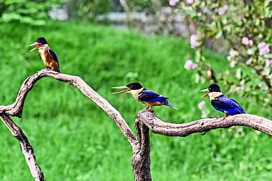 《上行战场》8月6日更新 提高了DX12和光追性能